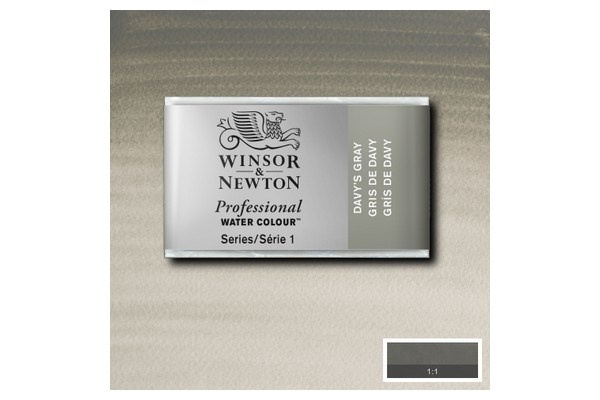 WINSOR Watercolour proff pan Davys Grey 217 i gruppen SPORT, FRITID & HOBBY / Hobby / Mal & Tegn / Kunstnerfarver / Akvarel farver hos TP E-commerce Nordic AB (A09118)