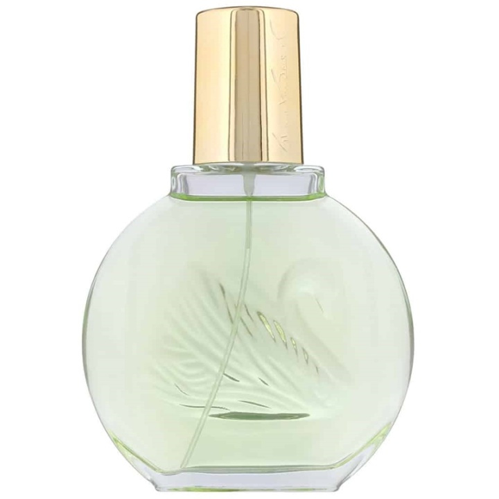 Gloria Vanderbilt Jardin a New York Edp 100ml i gruppen SKØNHED & HELSE / Duft & Parfume / Parfume / Parfume til hende hos TP E-commerce Nordic AB (A10932)