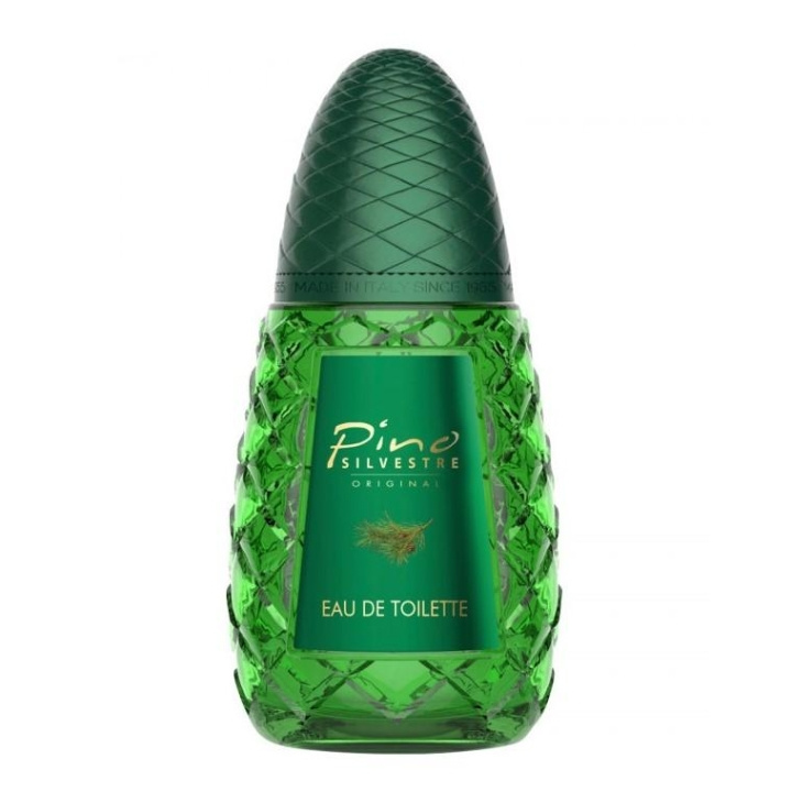 Pino Silvestre Edt 125ml i gruppen SKØNHED & HELSE / Duft & Parfume / Parfume / Parfume til ham hos TP E-commerce Nordic AB (C11409)