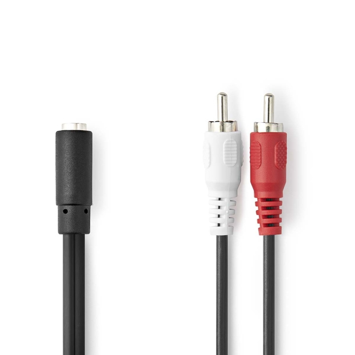 Nedis Stereo Audio kabel | 2x RCA Hanstik | 3.5 mm Hunstik | Nikkelplateret | 0.20 m | Runde | Box i gruppen HJEMMEELEKTRONIK / Lyd & billede / Højttalere & tilbehør / Tilbehør hos TP E-commerce Nordic AB (C23773)