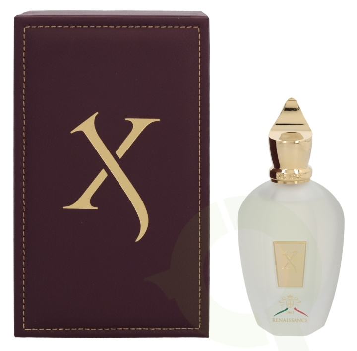 Xerjoff Renaissance Edp Spray 100 ml i gruppen SKØNHED & HELSE / Duft & Parfume / Parfume / Unisex hos TP E-commerce Nordic AB (C36088)