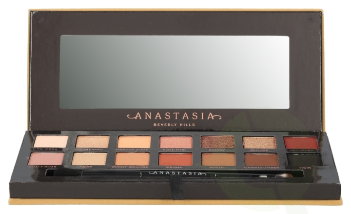 Anastasia Beverly Hills Soft Glam Eyeshadow Palette 10.3 gr 14x0,74gr/Duo Shadow Brush i gruppen SKØNHED & HELSE / Makeup / Øjne og øjenbryn / Øjenskygge hos TP E-commerce Nordic AB (C42197)