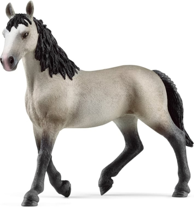 Schleich Horse Club 13955 Selle français-sto i gruppen LEGETØJ, BØRN & BABY / Legetøj / Figurer, miniaturer og tilbehør hos TP E-commerce Nordic AB (C47856)