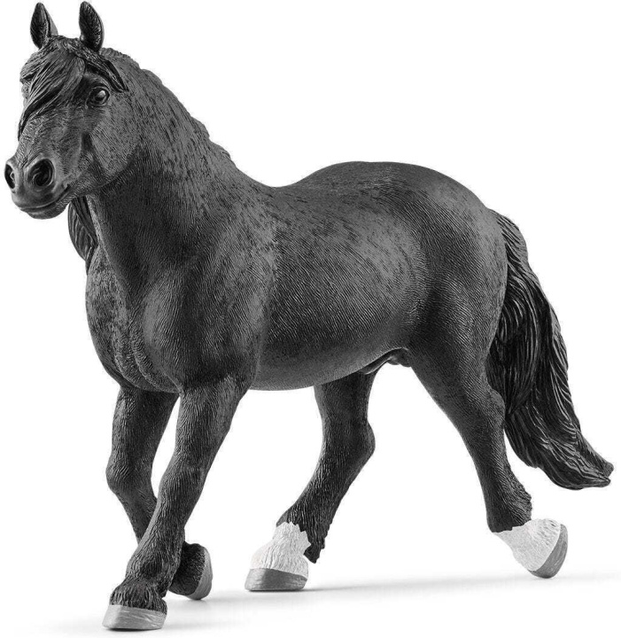 Schleich Horse Club 13958 Norikerhingst i gruppen LEGETØJ, BØRN & BABY / Legetøj / Figurer & miniaturer hos TP E-commerce Nordic AB (C47858)