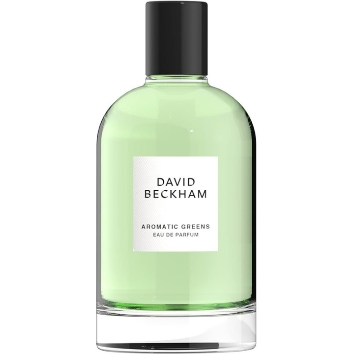 David Beckham Aromatic Greens Edp 100ml i gruppen SKØNHED & HELSE / Duft & Parfume / Parfume / Parfume til ham hos TP E-commerce Nordic AB (C51933)