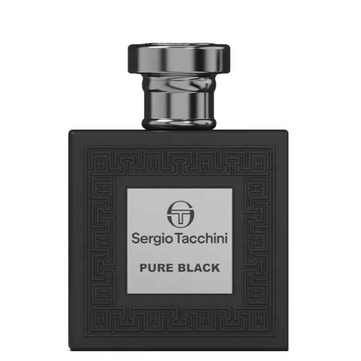 Sergio Tacchini Pure Black Edt 100ml i gruppen SKØNHED & HELSE / Duft & Parfume / Parfume / Parfume til ham hos TP E-commerce Nordic AB (C56971)