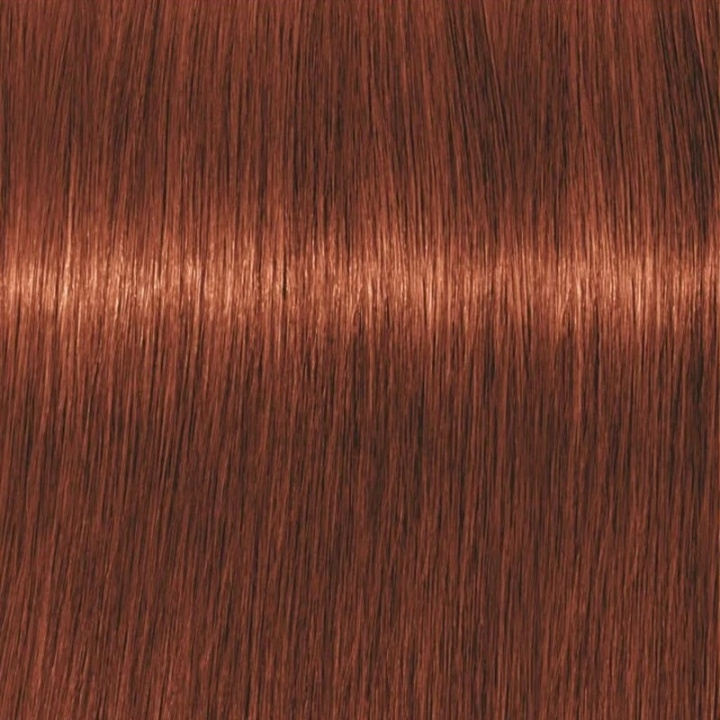 Schwarzkopf Professional Igora Vibrance Kit 6-78 Dark Blonde Copper Red i gruppen SKØNHED & HELSE / Hår og styling / Hårpleje / Hårfarve / Hårfarve & Farve bombe hos TP E-commerce Nordic AB (C62325)