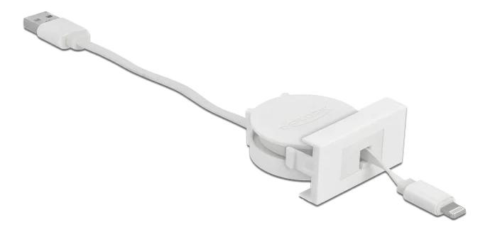 DeLOCK Easy 45 Module USB 2.0 Cable USB Type-A to 8 Pin Lightning i gruppen SMARTPHONES & TABLETS / Opladere og kabler / Adaptere hos TP E-commerce Nordic AB (C70659)