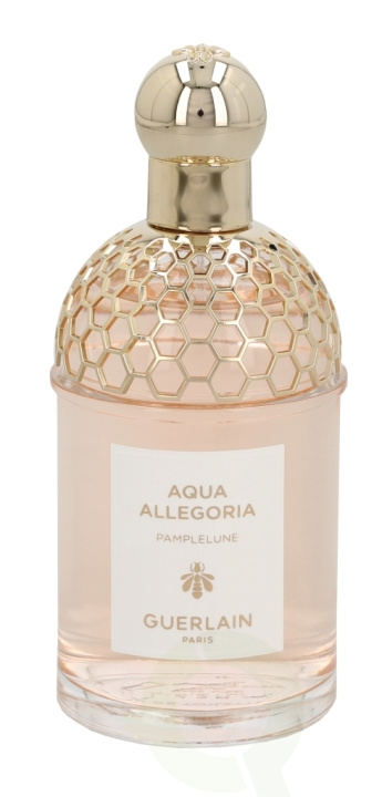 Guerlain Aqua Allegoria Pamplelune Edt Spray 125 ml i gruppen SKØNHED & HELSE / Duft & Parfume / Parfume / Parfume til hende hos TP E-commerce Nordic AB (C72050)