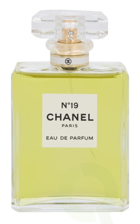 Chanel No 19 Edp Spray 100 ml i gruppen SKØNHED & HELSE / Duft & Parfume / Parfume / Parfume til hende hos TP E-commerce Nordic AB (C72144)