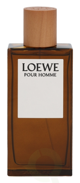 Loewe Pour Homme Edt Spray 100 ml i gruppen SKØNHED & HELSE / Duft & Parfume / Parfume / Parfume til ham hos TP E-commerce Nordic AB (C72606)