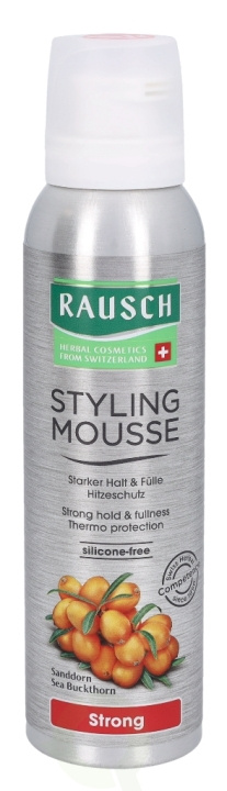 Rausch Styling Mousse 150 ml i gruppen SKØNHED & HELSE / Hår og styling / Hår styling / Hårmousse hos TP E-commerce Nordic AB (C73697)