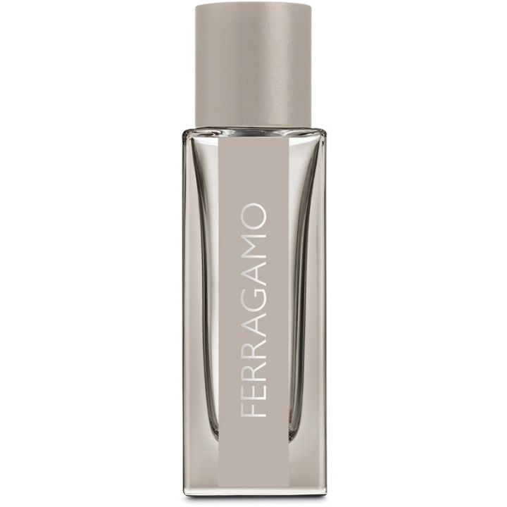 Salvatore Ferragamo Bright Leather Edt 30ml i gruppen SKØNHED & HELSE / Duft & Parfume / Parfume / Parfume til ham hos TP E-commerce Nordic AB (C74732)