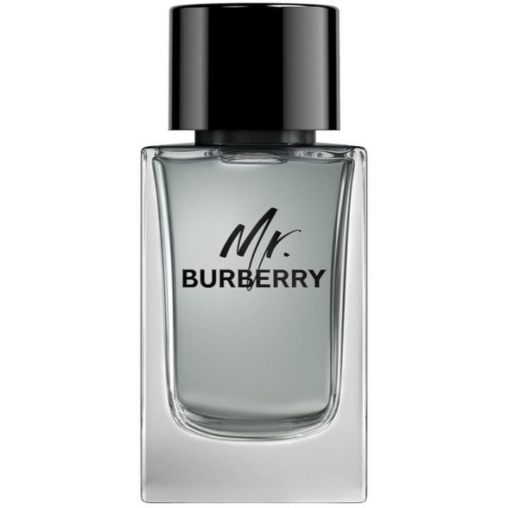 Burberry Mr Burberry Edt 100ml i gruppen SKØNHED & HELSE / Duft & Parfume / Parfume / Parfume til ham hos TP E-commerce Nordic AB (C74760)