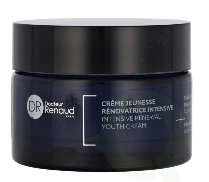 Dr. Renaud Intensive Renewal Youth Cream 50 ml i gruppen SKØNHED & HELSE / Hudpleje / Ansigt / Ansigtscreme hos TP E-commerce Nordic AB (C75014)