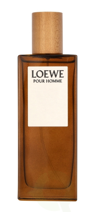 Loewe Pour Homme Edt Spray 50 ml i gruppen SKØNHED & HELSE / Duft & Parfume / Parfume / Parfume til ham hos TP E-commerce Nordic AB (C76878)