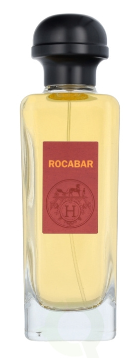 Hermes Rocabar Edt Spray 100 ml i gruppen SKØNHED & HELSE / Duft & Parfume / Parfume / Parfume til ham hos TP E-commerce Nordic AB (C77025)