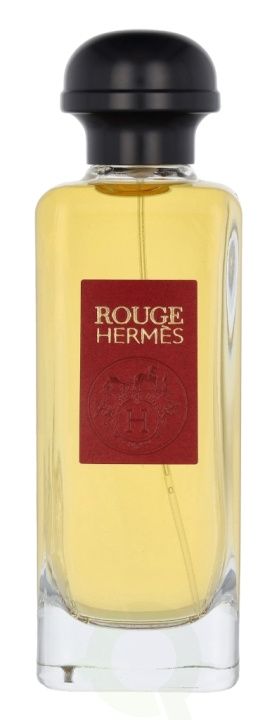 Hermes Rouge Edt Spray 100 ml i gruppen SKØNHED & HELSE / Duft & Parfume / Parfume / Parfume til hende hos TP E-commerce Nordic AB (C77916)