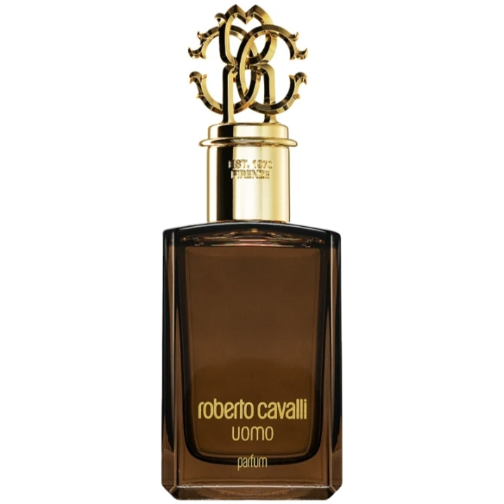 Roberto Cavalli Uomo Edp 100ml i gruppen SKØNHED & HELSE / Duft & Parfume / Parfume / Parfume til ham hos TP E-commerce Nordic AB (C78983)