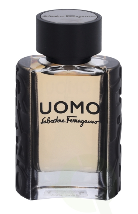 Ferragamo S. Ferragamo Uomo Pour Homme Edt Spray 30 ml i gruppen SKØNHED & HELSE / Duft & Parfume / Parfume / Parfume til ham hos TP E-commerce Nordic AB (C79123)