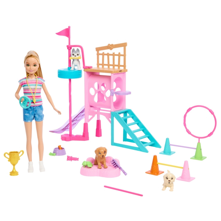 Barbie Stacie\'s Puppy Playground-legesæt (HRM10) i gruppen LEGETØJ, BØRN & BABY / Legetøj / Docks og tilbehør hos TP E-commerce Nordic AB (C80818)