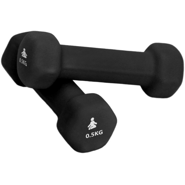 Fitpaddy Premium Dumbbells 2 x 0.5 kg i gruppen SPORT, FRITID & HOBBY / Træningsredskaber / Træningstilbehør hos TP E-commerce Nordic AB (C82840)