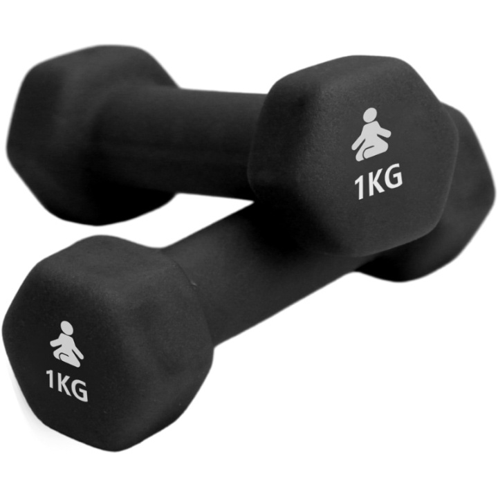 Fitpaddy Premium Dumbbells 2 x 1 kg i gruppen SPORT, FRITID & HOBBY / Træningsredskaber / Træningstilbehør hos TP E-commerce Nordic AB (C82841)