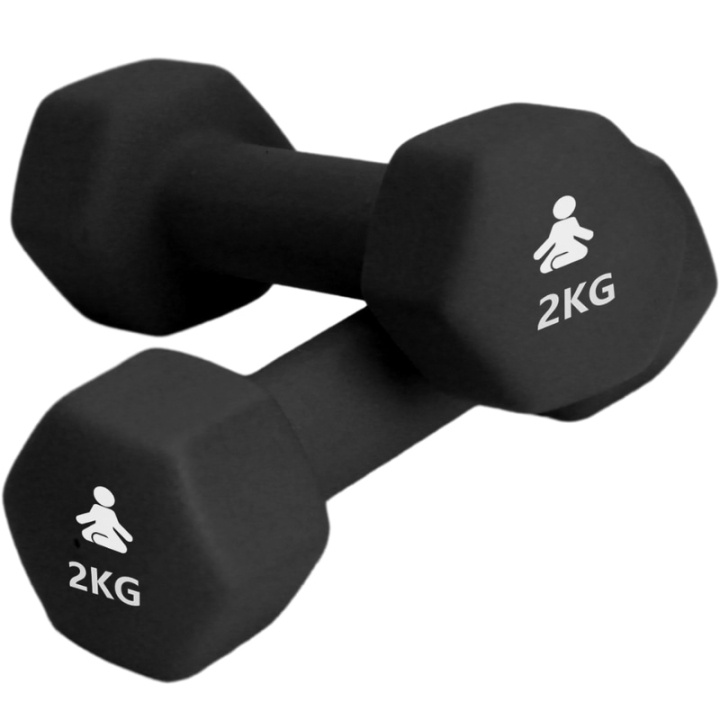 Fitpaddy Premium Dumbbells 2 x 2 kg i gruppen SPORT, FRITID & HOBBY / Træningsredskaber / Træningstilbehør hos TP E-commerce Nordic AB (C82842)