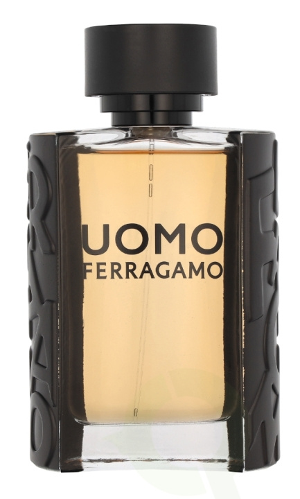 Ferragamo S. Ferragamo Uomo Pour Homme Edt Spray 100 ml i gruppen SKØNHED & HELSE / Duft & Parfume / Parfume / Parfume til ham hos TP E-commerce Nordic AB (C82920)