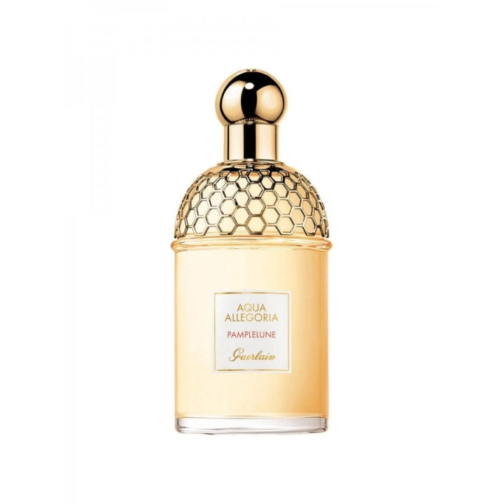 Guerlain Aqua Allegoria Pamplelune EDT 125 ml i gruppen SKØNHED & HELSE / Duft & Parfume / Parfume / Parfume til hende hos TP E-commerce Nordic AB (C84763)