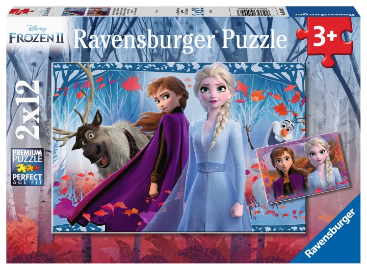 Ravensburger Frozen 2 Journey Into The Unknown 2x12p - 05009 i gruppen LEGETØJ, BØRN & BABY / Legetøj / Puslespil hos TP E-commerce Nordic AB (C85765)