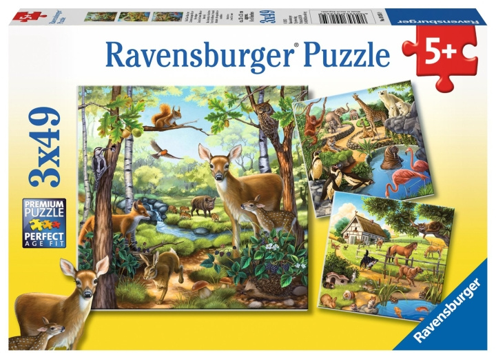 Ravensburger Skov/Zoo/Dom.dyr - 3x49p - 09265 i gruppen LEGETØJ, BØRN & BABY / Legetøj / Puslespil hos TP E-commerce Nordic AB (C85776)