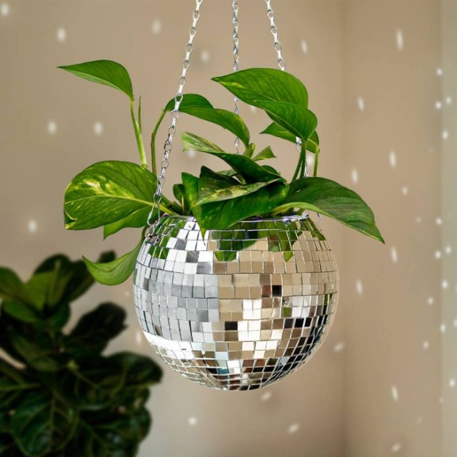 MikaMax FUNKY DISCO PLANTEKASSE i gruppen SPORT, FRITID & HOBBY / Sjove gadgets / Sjove gadgets hos TP E-commerce Nordic AB (C85828)