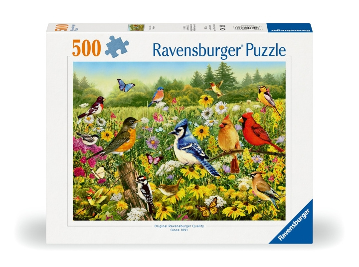 Ravensburger Puzzle Birds in the Meadow 500p (12000336) i gruppen LEGETØJ, BØRN & BABY / Legetøj / Puslespil hos TP E-commerce Nordic AB (C86444)