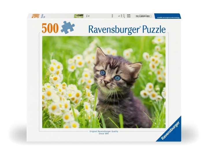 Ravensburger Puslespil Kitten In The Meadow 500p (12000367) i gruppen LEGETØJ, BØRN & BABY / Legetøj / Puslespil hos TP E-commerce Nordic AB (C86450)