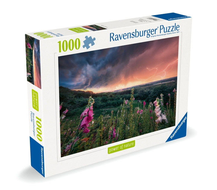 Ravensburger Puslespil Dreamy Thunder 1000p (12000793) i gruppen LEGETØJ, BØRN & BABY / Legetøj / Puslespil hos TP E-commerce Nordic AB (C86531)