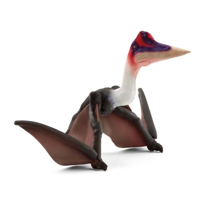 Schleich Dinosaurer - Quetzalcoatlus (15028) i gruppen LEGETØJ, BØRN & BABY / Legetøj / Figurer, miniaturer og tilbehør hos TP E-commerce Nordic AB (C87602)