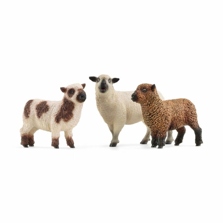 Schleich Farm World - Fårets venner (42660) i gruppen LEGETØJ, BØRN & BABY / Legetøj / Figurer, miniaturer og tilbehør hos TP E-commerce Nordic AB (C87712)