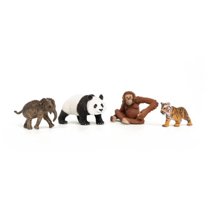 Schleich Wild Life - Asien startsæt (42736) i gruppen LEGETØJ, BØRN & BABY / Legetøj / Legesæt hos TP E-commerce Nordic AB (C87908)