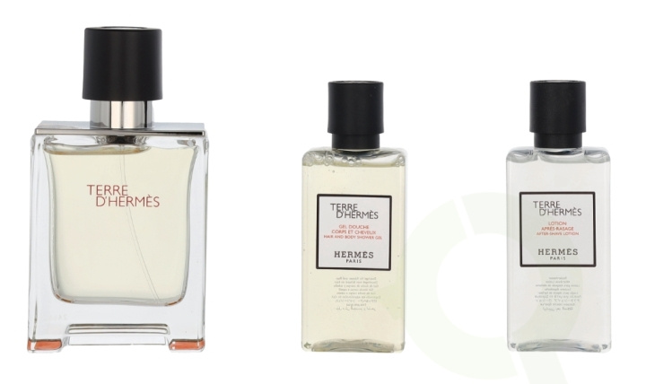 Hermes Terre D\'Hermes Giftset 130 ml Edt Spray 50ml/Shower Gel 40ml/Body Lotion 40ml i gruppen SKØNHED & HELSE / Gaveæske / Gaveæske til ham hos TP E-commerce Nordic AB (C95005)