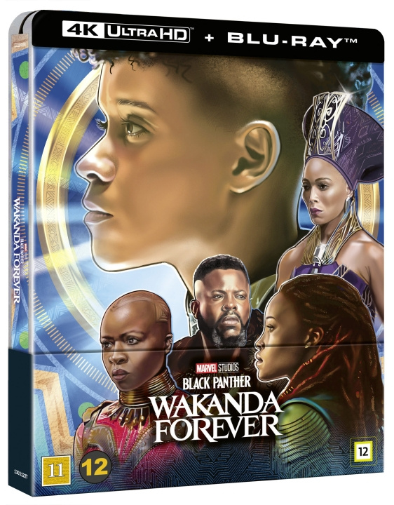 Black Panther: Wakanda Forever (Blu-ray) i gruppen HJEMMEELEKTRONIK / Lyd & billede / Tv og tilbehør / Film / Blu-ray hos TP E-commerce Nordic AB (C95320)