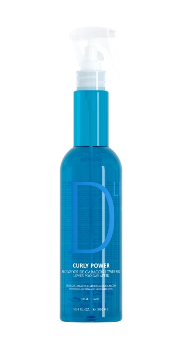 EVAN Curly Power Day After Curl Reactivator Lower Poo Spray 300 ml i gruppen SKØNHED & HELSE / Hår og styling / Hårpleje hos TP E-commerce Nordic AB (C96701)