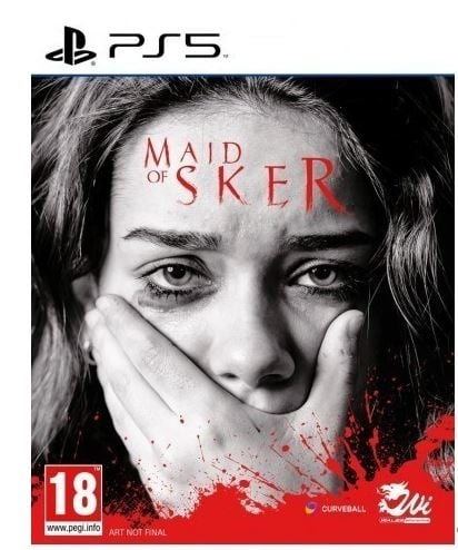 Maid of Sker (PS5) i gruppen HJEMMEELEKTRONIK / Spilkonsoller og tilbehør / Sony PlayStation 5 / Spil hos TP E-commerce Nordic AB (C97283)