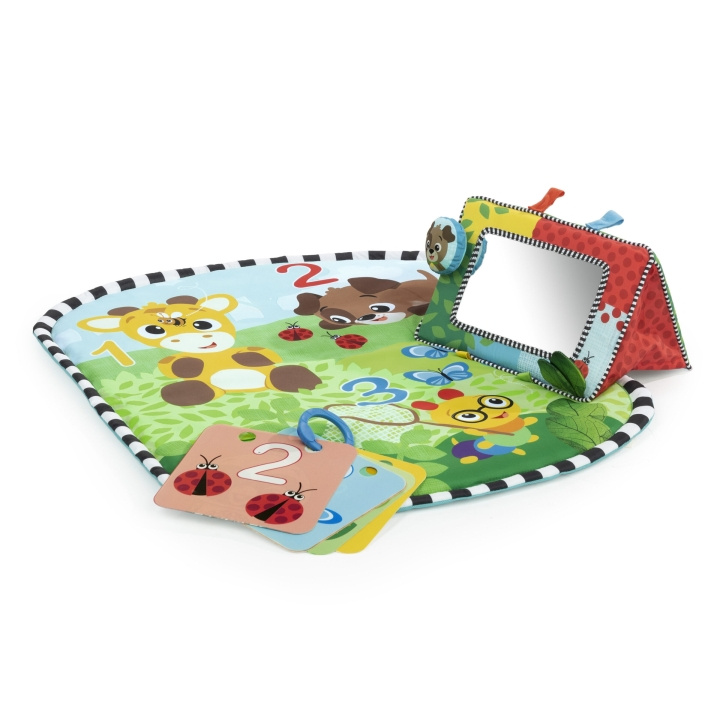 Baby Einstein Discovery Garden™ Mavetidsmåtte og spejl - (BE-16788) i gruppen LEGETØJ, BØRN & BABY / Babyleg (0-3 år) / Aktivitetslegetøj hos TP E-commerce Nordic AB (C97489)