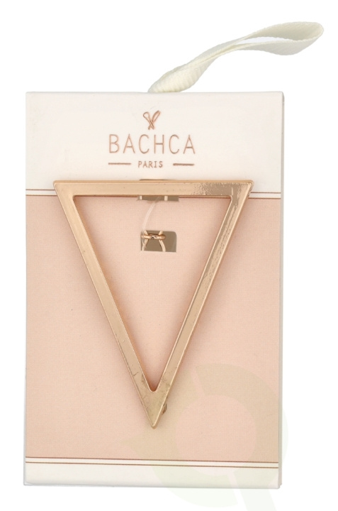 Bachca Paris Triangle Metal Hair Clip 1 piece i gruppen SKØNHED & HELSE / Hår og styling / Hårtilbehør hos TP E-commerce Nordic AB (C99882)