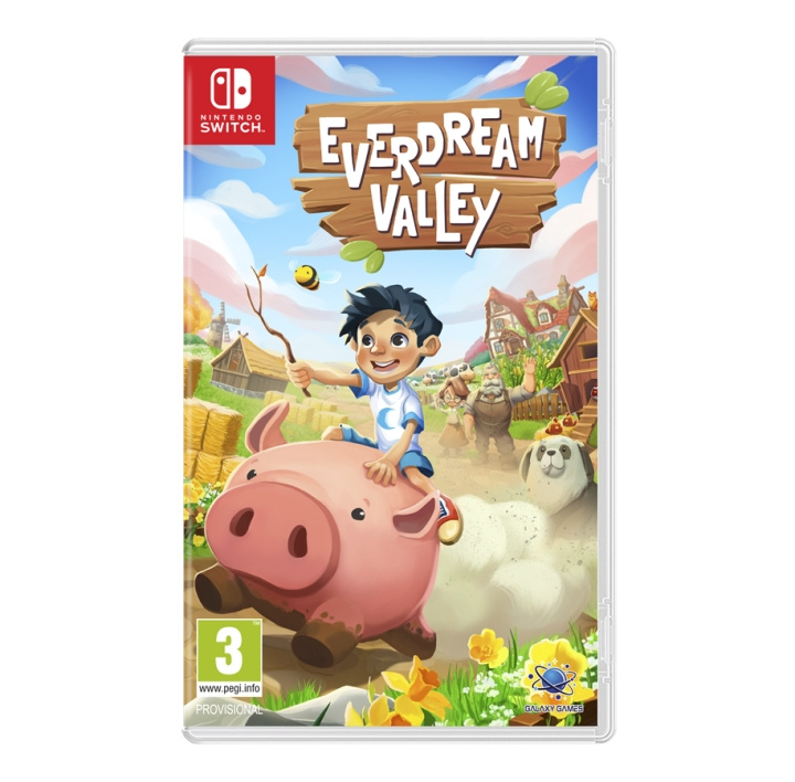 Everdream Valley (Switch) i gruppen HJEMMEELEKTRONIK / Spilkonsoller og tilbehør / Nintendo Switch / Spil hos TP E-commerce Nordic AB (D02802)