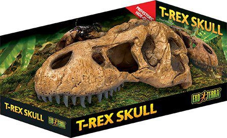 Exoterra Cave T Rex kranium - (222.2059) i gruppen HJEM, HUS & HAVE / Tilbehør til dyr / Tilbehør til terrarier hos TP E-commerce Nordic AB (D03864)