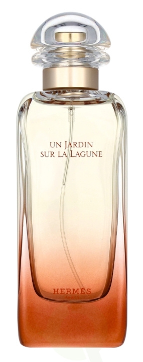 Hermes Un Jardin Sur La Lagune Edt Spray 100 ml i gruppen SKØNHED & HELSE / Duft & Parfume / Parfume / Parfume til hende hos TP E-commerce Nordic AB (D06173)