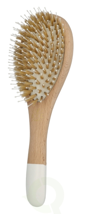 Bachca Paris Detangle & Smooth Hair Brush 1 piece Large i gruppen SKØNHED & HELSE / Hår og styling / Hårbørster hos TP E-commerce Nordic AB (D09313)