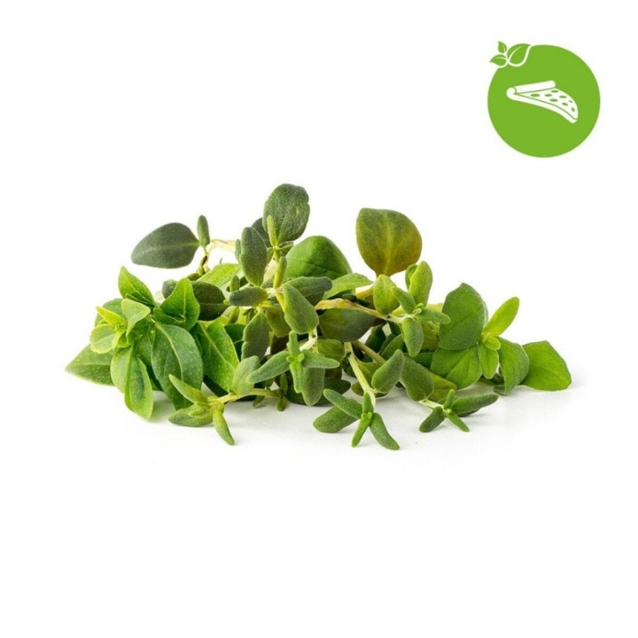 Click & Grow Smart Garden Refill 9-pak italiensk krydderurtemix i gruppen SPORT, FRITID & HOBBY / Sjove gadgets / Smarte løsninger hos TP E-commerce Nordic AB (D11218)